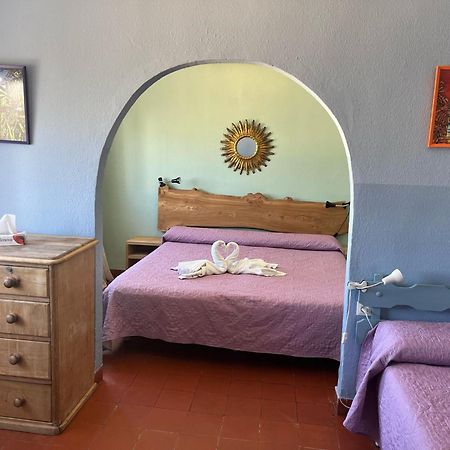 Hostal La Palmera توريمولينوس المظهر الخارجي الصورة